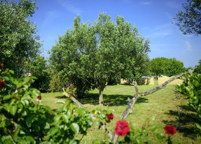 Istria Rosa In - Istrien